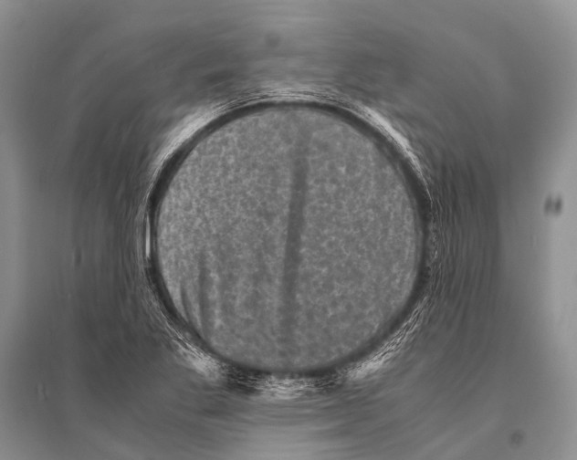 X0000094911269200712201149