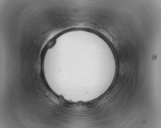 X0000094911270200712201149