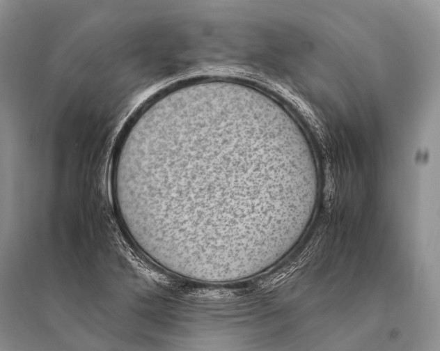 X0000094911272200712201149