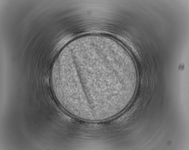 X0000094911273200712201149