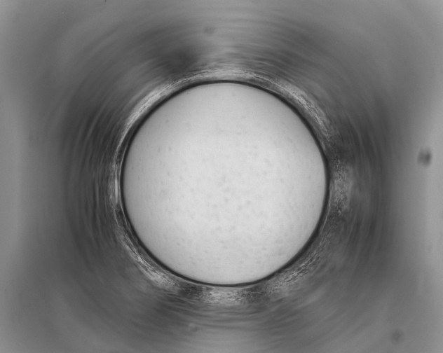 X0000094911274200712201149