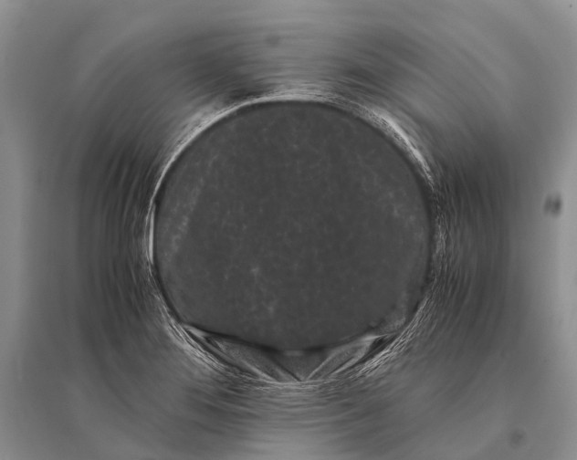 X0000094911276200712201149
