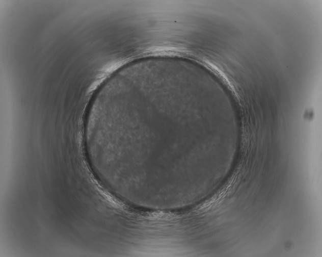 X0000094911277200712201149