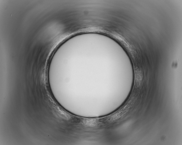 X0000094911278200712201149