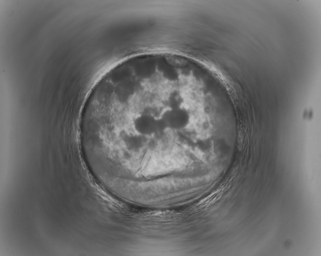 X0000094911279200712201149