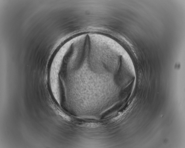 X0000094911280200712201149