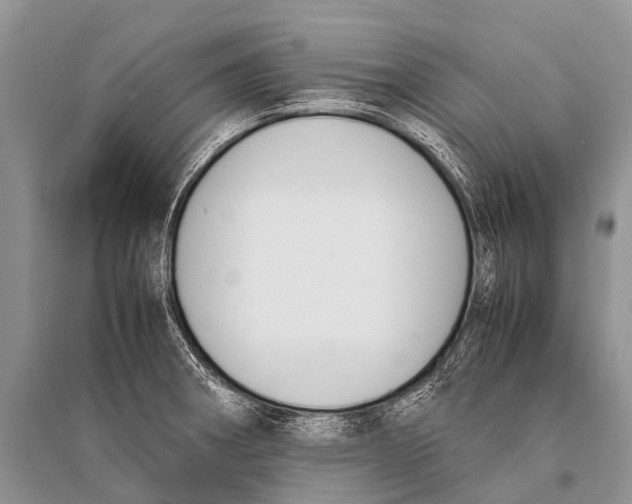 X0000094911282200712201148