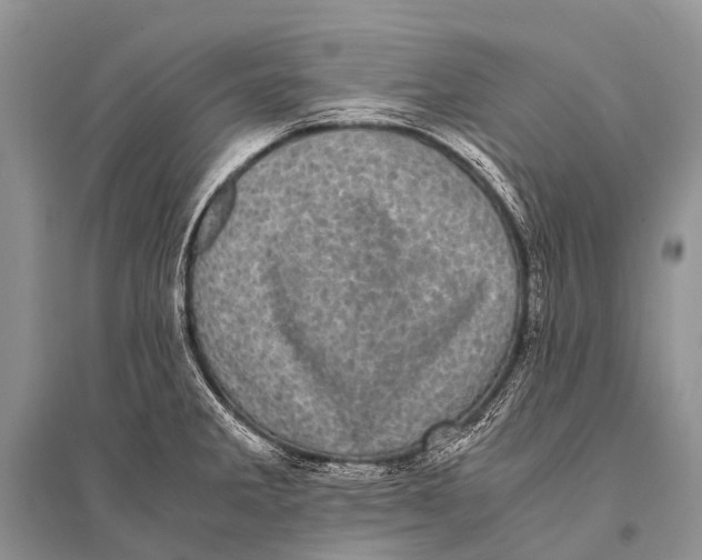 X0000094911285200712201148
