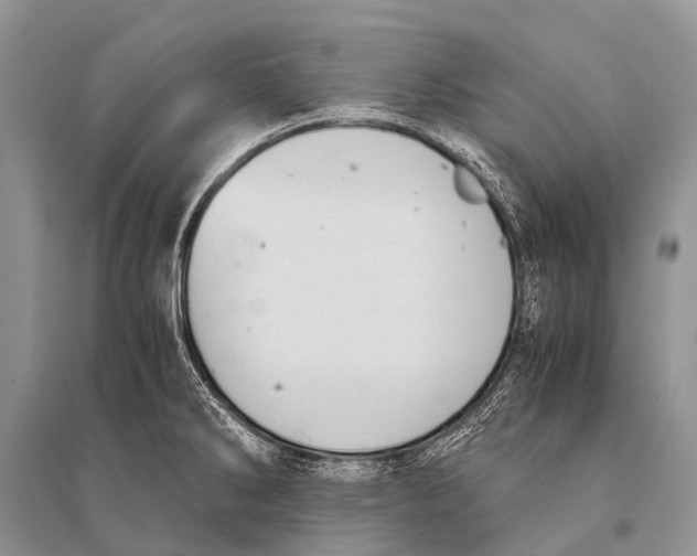 X0000094911286200712201148