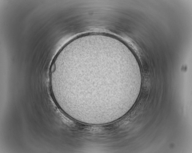 X0000094911287200712201148