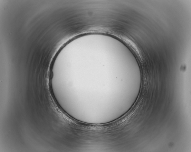 X0000094911288200712201148