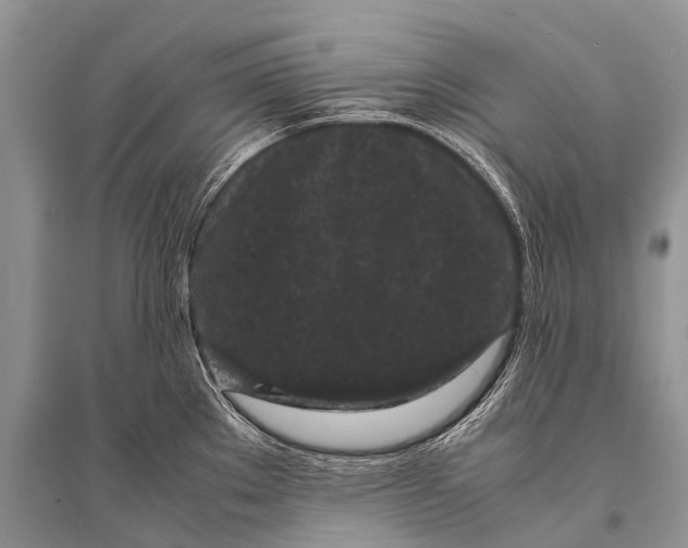 X0000094911289200712201148
