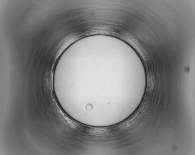 X0000094911290200712201148