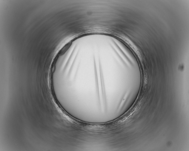 X0000094911293200712201148