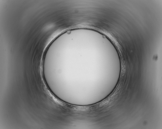 X0000094911294200712201148