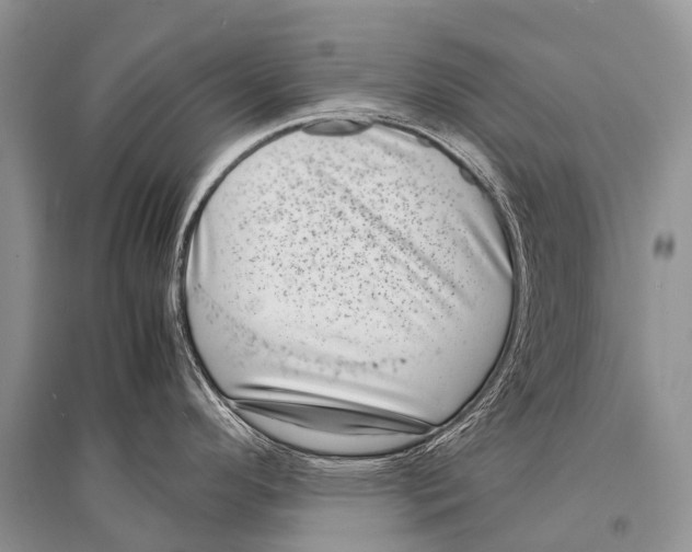 X0000094911296200712201148