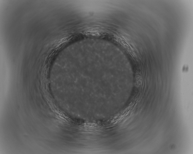 X0000094911297200712201148