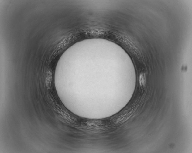 X0000094911299200712201148