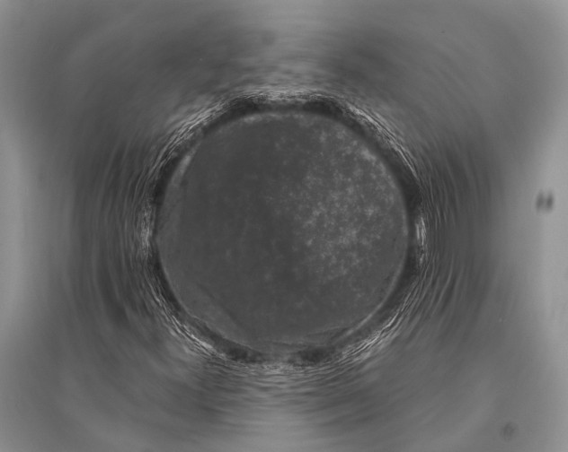 X0000094911300200712201148