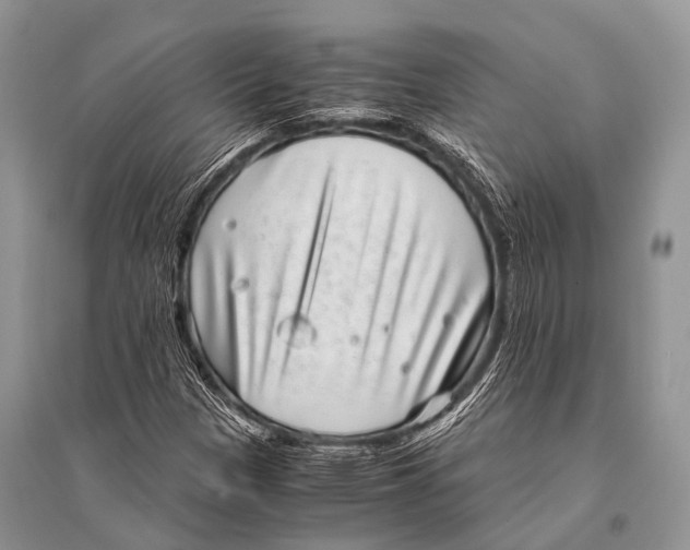 X0000094911305200712201148