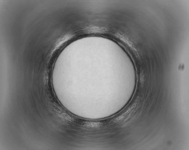 X0000094911309200712201148