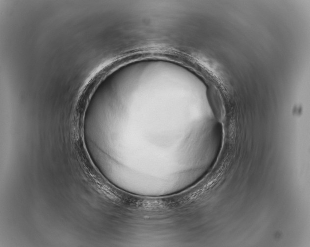 X0000094911310200712201148