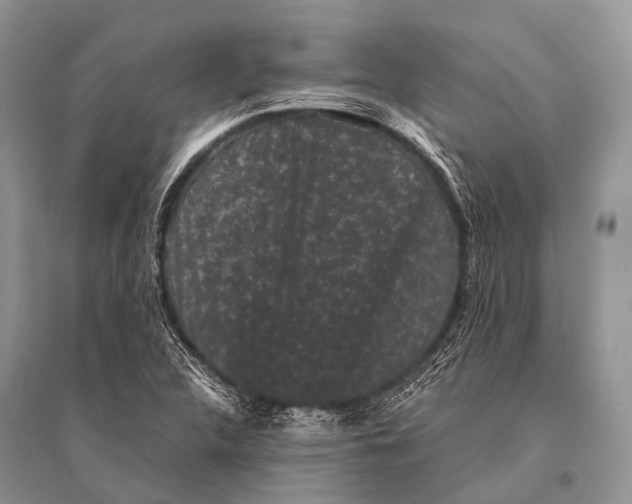 X0000094911312200712201148