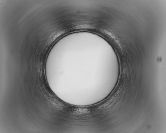 X0000094911313200712201148