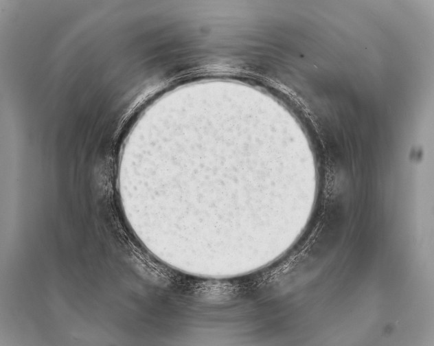 X0000094911314200712201148