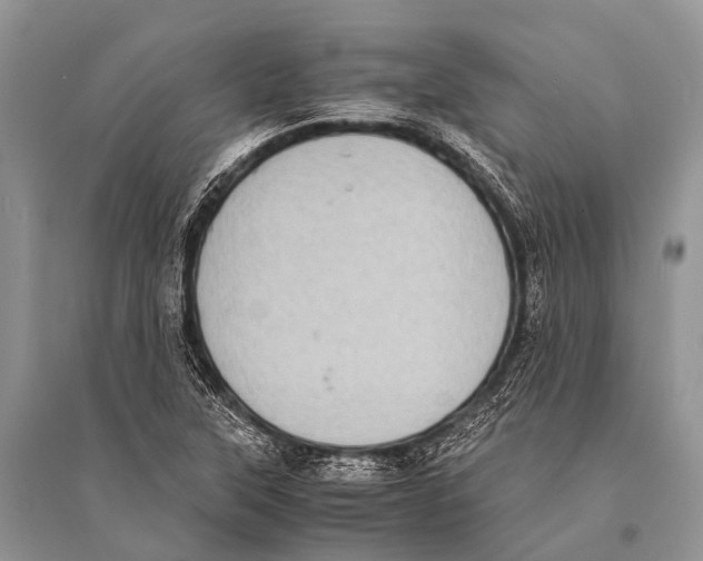 X0000094911315200712201148