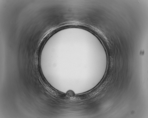X0000094911318200712201148