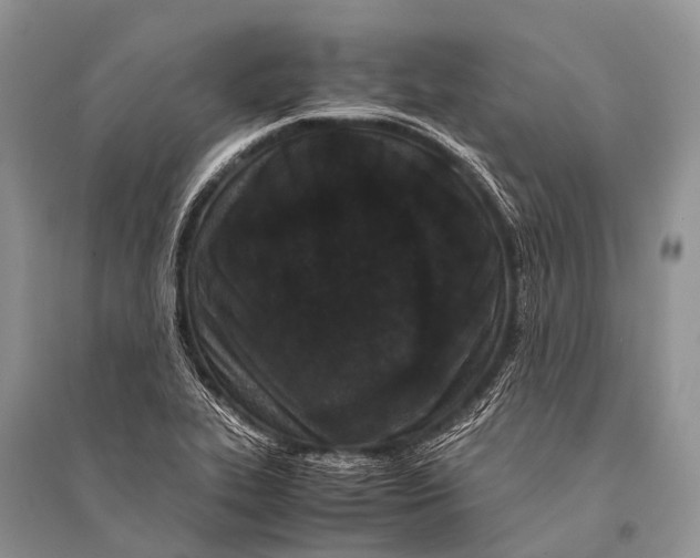 X0000094911319200712201148