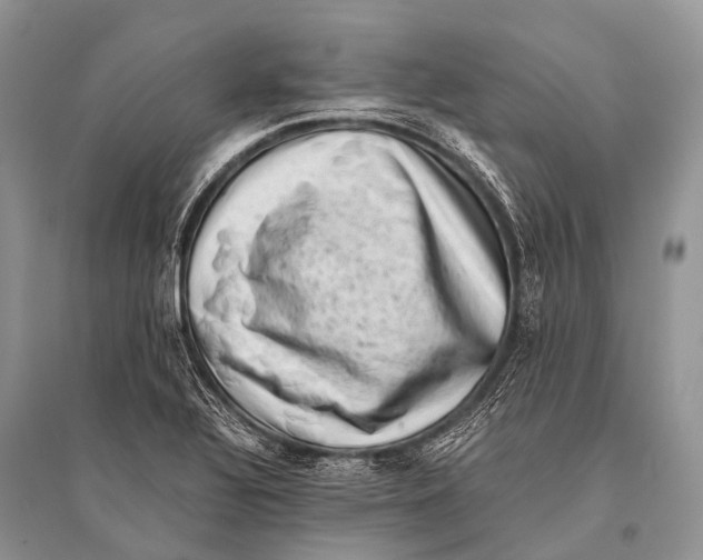 X0000094911320200712201148