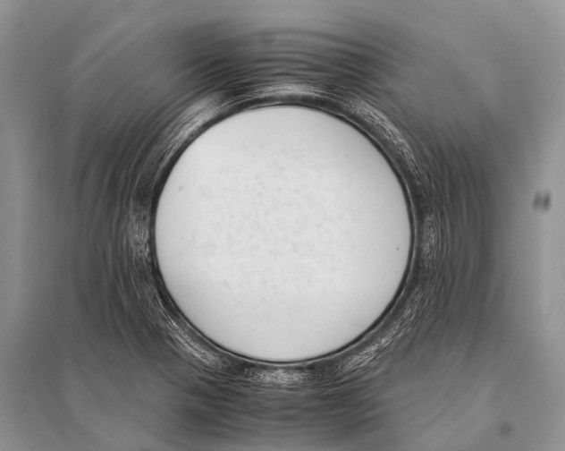X0000094911321200712201148