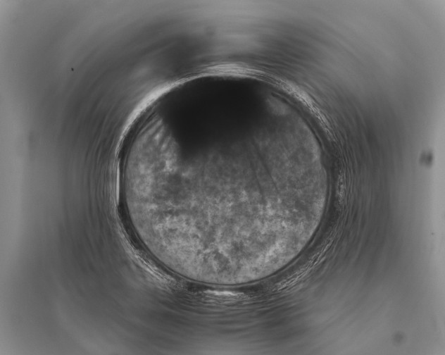 X0000094911323200712201148