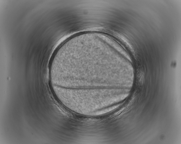 X0000094911324200712201148