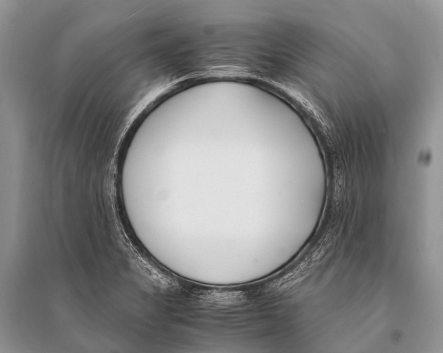 X0000094911325200712201148