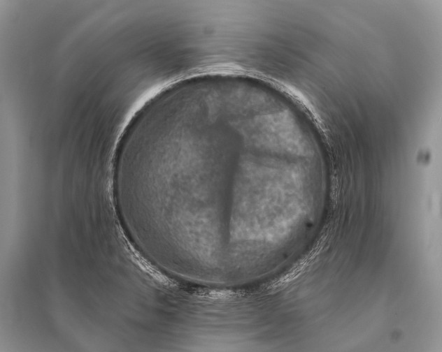X0000094911326200712201148