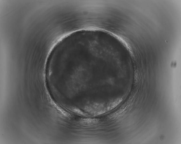 X0000094911327200712201148
