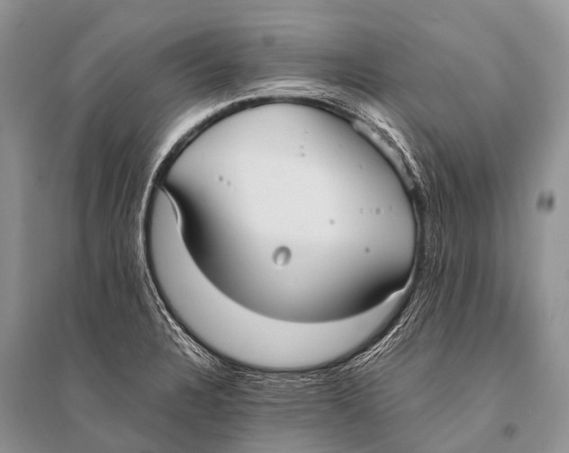 X0000094911328200712201148