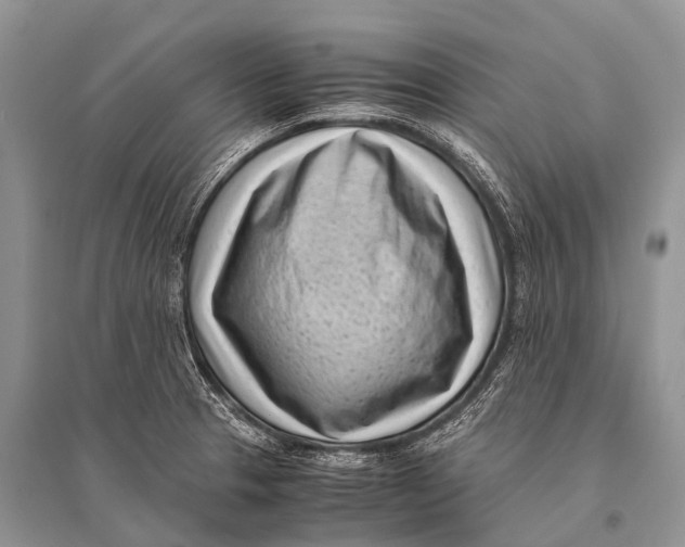 X0000094911329200712201148