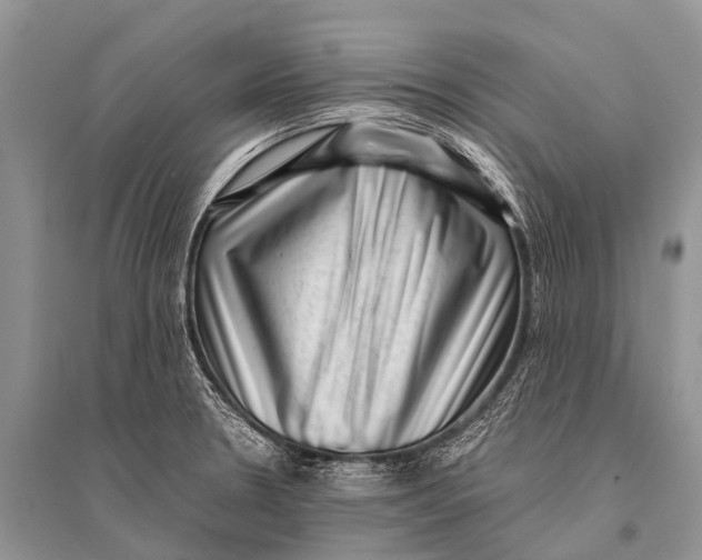 X0000094911330200712201148