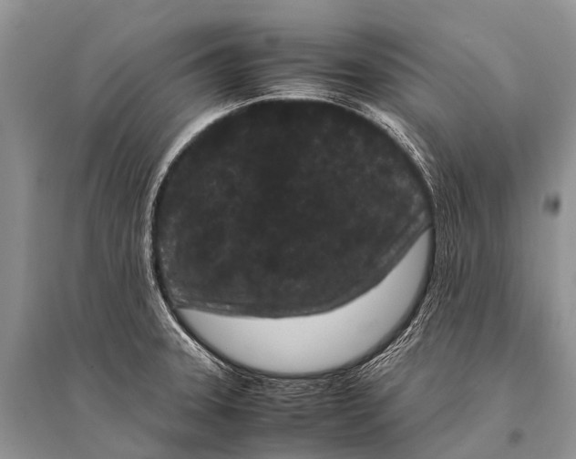 X0000094911331200712201148