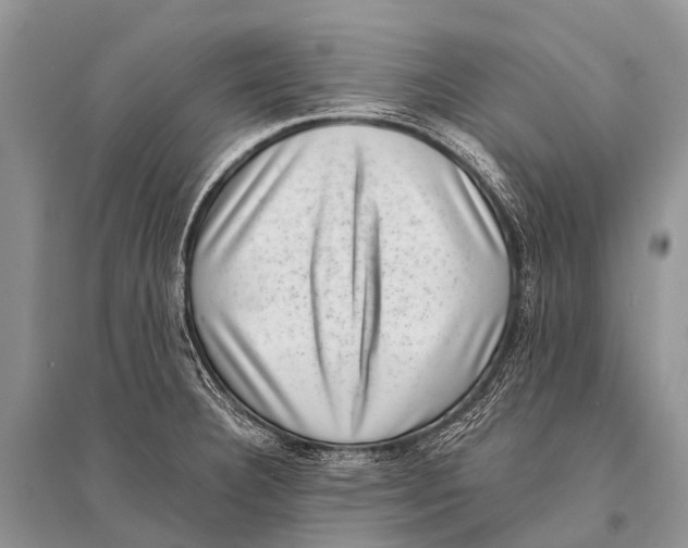 X0000094911332200712201148