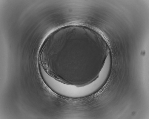 X0000094911334200712201148