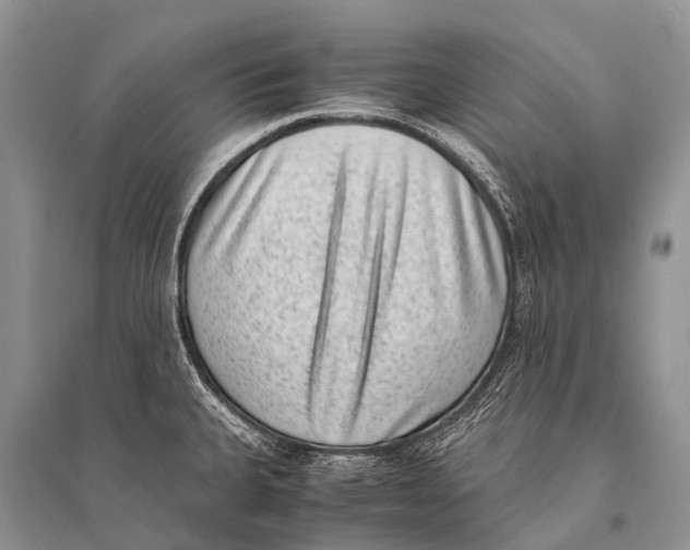 X0000094911335200712201148