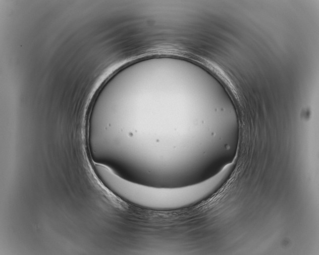 X0000094911339200712201148