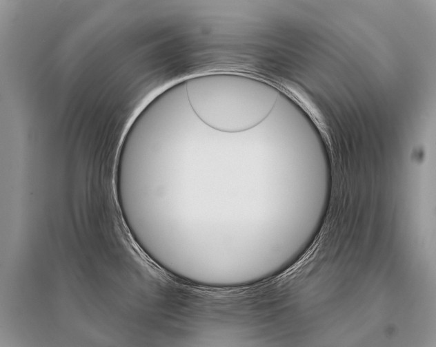 X0000094911340200712201148