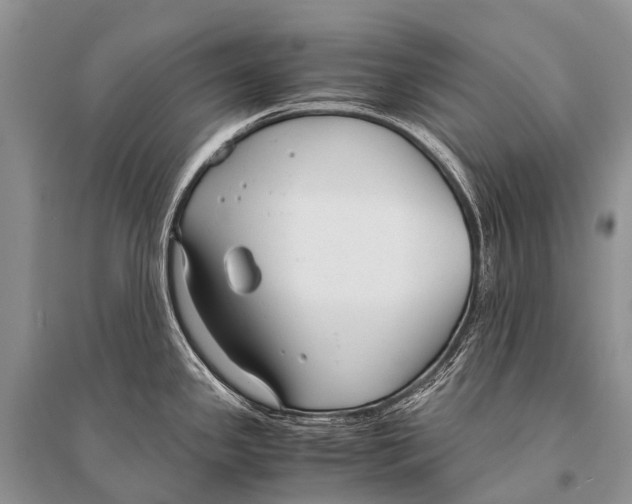 X0000094911341200712201148