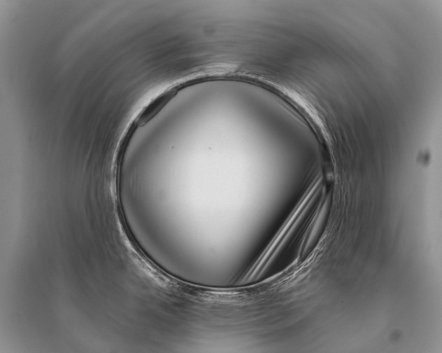 X0000094911342200712201148